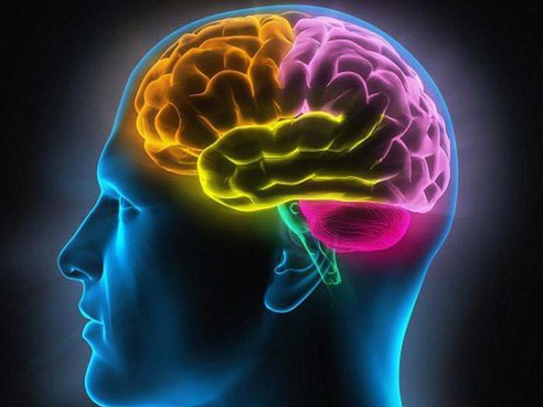 Bạn có biết bộ não sẽ vẫn hoạt động khoảng 10 phút sau khi bạn chết?